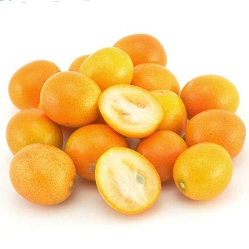 【香侬果品】正宗广西金钱橘/金钱桔 新鲜水果 小金桔