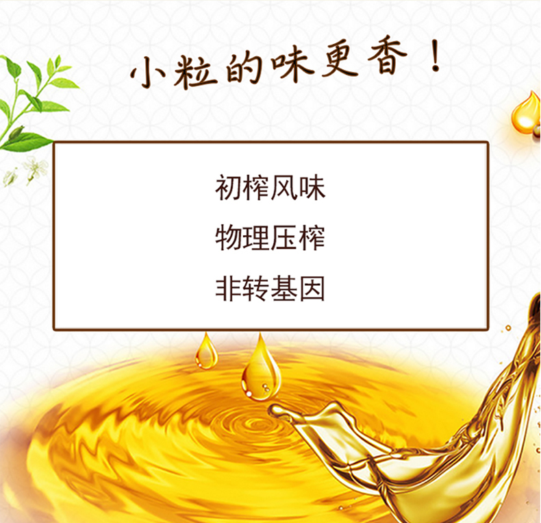 长安花高原小粒菜籽油(浓香风味)5l