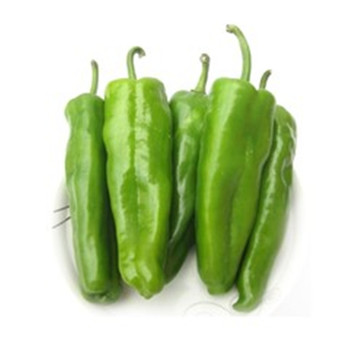 【家精采特供系列武汉三环内满128元包送,订购须见详描】有机蔬菜6斤