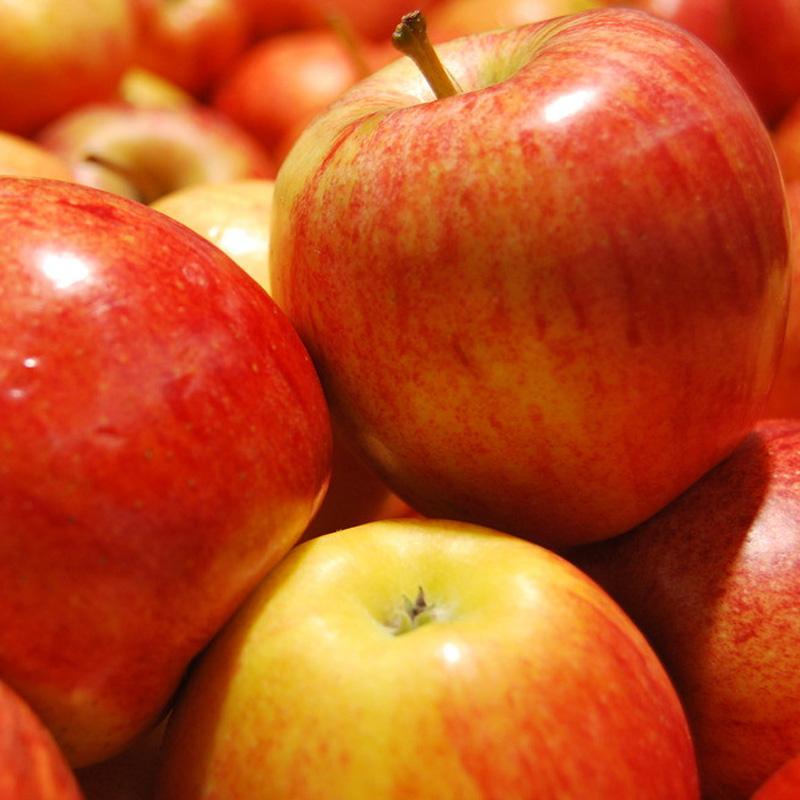 【香侬果品】美国伽利果新鲜美味的苹果6个约1000g(限武汉三环内购买